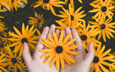 How to Include Corporate Philanthropy in your Sustainability Strategy