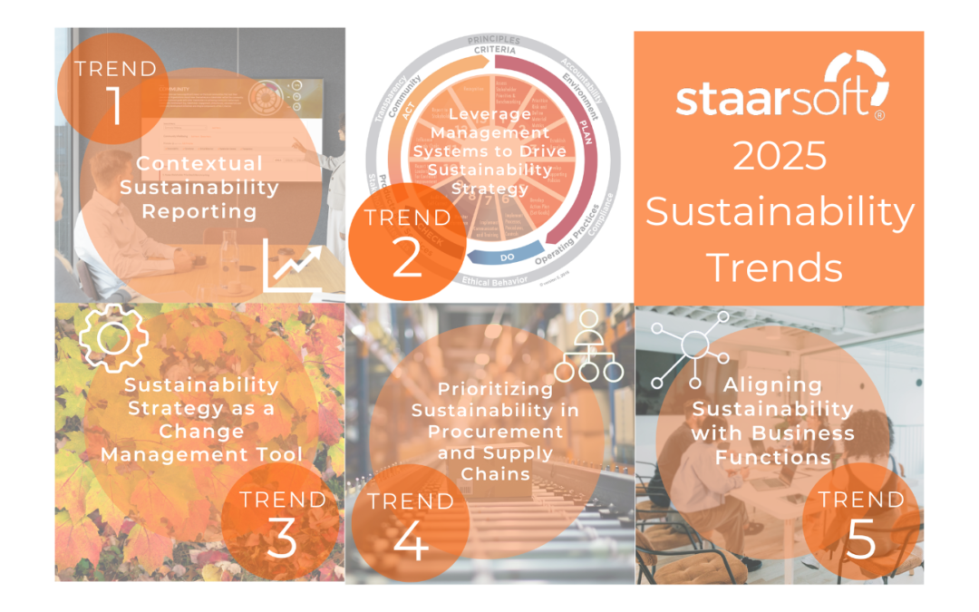 2024 Sustainability Trend Recap & 2025 Predictions