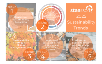 2024 Sustainability Trend Recap & 2025 Predictions